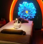 慧然龙筋工作室